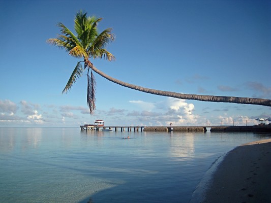 Wakatobi