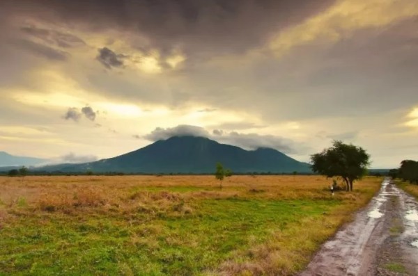 Taman Nasional Baluran Situbondo