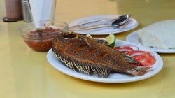 Konsumsi Ikan Nila Bisa Cegah Kanker