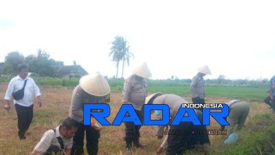 Dalam Rangka Mendukung Ketahanan Pangan, Polsek Cermee Laksanakan Penanaman Jagung