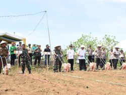 Manfaatkan Lahan Kritis, Polres Bondowoso Bersama Kodim 0822 Tanam Jagung Gelorakan Swasembada Pangan