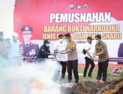 Pemusnahan Puluhan Ribu Batang Ganja Oleh Polres Lumajang Hasil, Pengungkapan Terbesar di Pulau Jawa