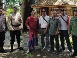 Lindungi Pengunjung Wisata, Perhutani Bondowoso Lakukan Perempesan & Pemotongan Pohon di Beach Forest