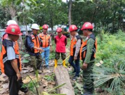 Wakil Administratur Perhutani KSKPH Bondowoso Utara, Gelar Cutting Test Tebangan Jati Tahun 2025