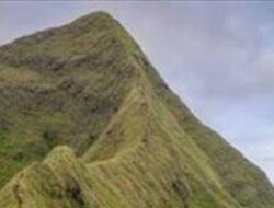 Hindari Jatuhnya Korban Jiwa, ADM  Perhutani Bondowoso Umumkan Larangan Pendakian Gunung Saeng, Piramid Dan Gulgulan