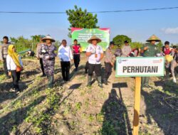 Dukung Penuh “ASTA CITA” Presiden RI, Wakil ADM perum Perhutani KSKPH Bondowoso Utara, Hadiri Penanaman Jagung Serentak