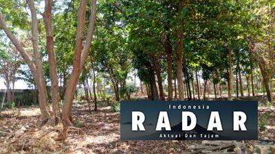 Hutan Smada Situbondo Disiapkan Jadi Edu Wisata, Siapa Dalang Aksi Demo Siswa?