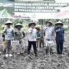 Ancaman Regulasi Membayangi, Bupati Bondowoso Pastikan Pemda Berpihak ke Petani Tembakau