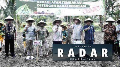Ancaman Regulasi Membayangi, Bupati Bondowoso Pastikan Pemda Berpihak ke Petani Tembakau