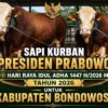 Jelang Idul Adha 1447 H, Presiden Prabowo Salurkan Dua Sapi Jumbo ke Bondowoso