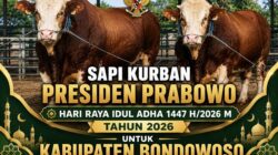 Jelang Idul Adha 1447 H, Presiden Prabowo Salurkan Dua Sapi Jumbo ke Bondowoso