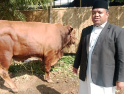 Al-Islah Bondowoso Jadi Pusat Kurban Nasional, Gus Yasin Distribusikan hingga 20 Ribu Paket
