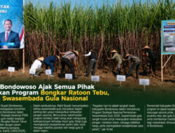 Wabup Bondowoso Ajak Semua Pihak Sukseskan Program Bongkar Ratoon Tebu, Dukung Swasembada Gula Nasional