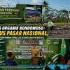 Beras Organik Bondowoso Tembus Pasar Nasional, Dinas Pertanian Perluas Kawasan Produksi