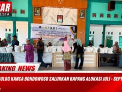 Tekan Fluktuasi Harga, Bulog Bondowoso Salurkan 4 Ribu Ton Lebih Beras Bapang untuk Warga