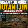 Dugaan Alih Fungsi Hutan Ijen Kembali Disorot, Tokoh Petani Pertanyakan Dasar Penyelidikan