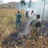 Api Berkobar di Ijen! TNI dan Perhutani Bergerak Cepat Jinakkan Kebakaran di Petak 87