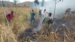Api Berkobar di Ijen! TNI dan Perhutani Bergerak Cepat Jinakkan Kebakaran di Petak 87
