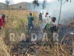 Api Berkobar di Ijen! TNI dan Perhutani Bergerak Cepat Jinakkan Kebakaran di Petak 87