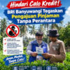 Hindari Calo Kredit! BRI Banyuwangi Tegaskan Pengajuan Pinjaman Tanpa Perantara